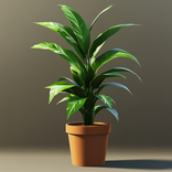 Botany Battle: Plant Challenge