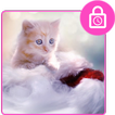 Kitty screen lock -  Time password