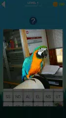 More than 400 words APK download