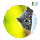 2 photo 1 word APK