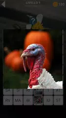 download 470 parole APK