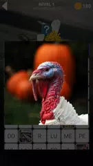 Baixar 470 palavras APK