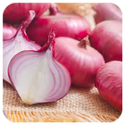 Health Benefits Of Onion ícone