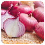 Health Benefits Of Onion icône