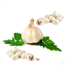 APK Health Benefits Of Garlic