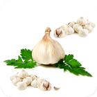 Health Benefits Of Garlic icon