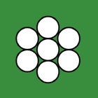 Bingo icon