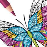 Coloriage Papillon pour Adulte