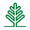 Das LIECO-System APK