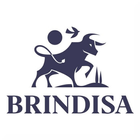Brindisa ícone