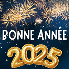 Bonne année gif 2025 icon