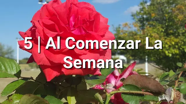Screenshot 8 for Coritos Adventistas