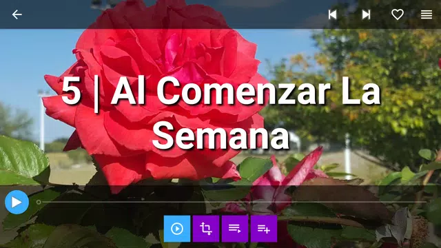 Screenshot 13 for Coritos Adventistas