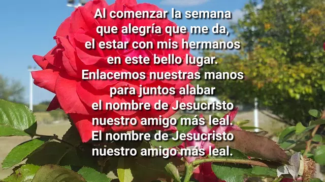 Screenshot 14 for Coritos Adventistas