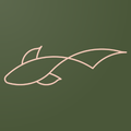 Koi Wellness OT