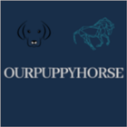 ourpuppyhorse words icône