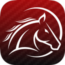 AESTALLION APK