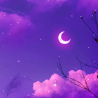 Cute Aesthetic Wallpapers أيقونة