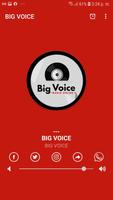 BIG VOICE poster