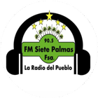 Fm Siete Palmas - Formosa-icoon