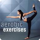 aerobics exercises-APK