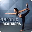 aerobics exercises APK