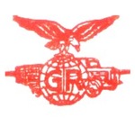 Goel Roadways For Driver icon
