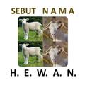Sebut Nama Hewan