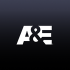 A&E アイコン