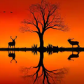 Nature 4K Wallpapers 2021