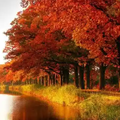 Autumn 4K Wallpapers 2021