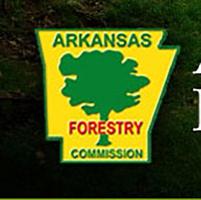 AFC Tree Inspection poster