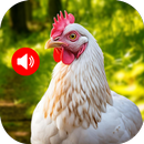 Sons d'animaux et d'oiseaux APK