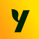 APK Asian Dating, Friendship: Yuzu