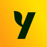 Asian Dating, Friendship: Yuzu