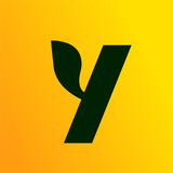 Asian Dating, Friendship: Yuzu-APK