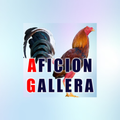 Aficion Gallera