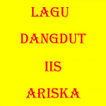 LAGU DANGDUT IIS ARISKA-icoon
