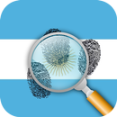 DNI argentin vérifier   APK