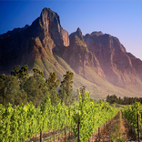 Solids Analysis SBM/OBM