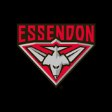 Essendon icon