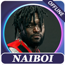 Naiboi songs offline APK