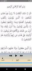 Baixar السديس قرآن صوت ممتاز بدون نت XAPK