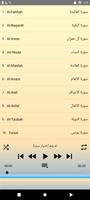 Hani Ar Rifai Quran offline screenshot 2