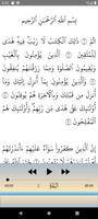 Hani Ar Rifai Quran offline screenshot 3