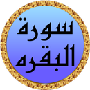 Sourate Al Baqarah Al Minshawi APK