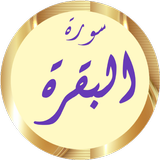 سورة البقرة سعود الشريم أيقونة