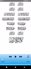 Saad Al Ghamidi quality sound XAPK download