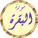 سورة البقرة سعد الغامدي بدونت APK