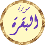 سورة البقرة سعد الغامدي أيقونة